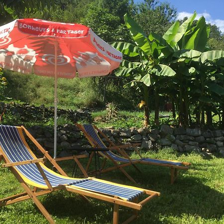 La Auarje: Appartement Avec Jardin & Terrasse Cierp Экстерьер фото